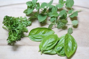 how-to-cut-fresh-herbs-1