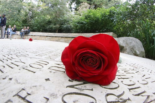 rose on memorial